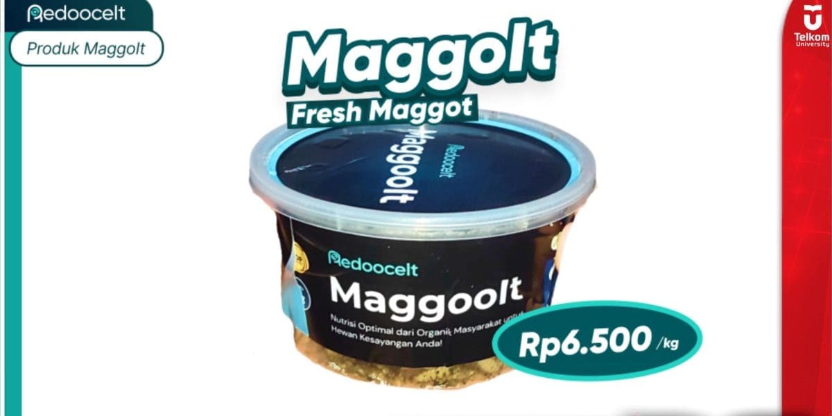 Gebrakan Redoocelt Budidaya Maggot Guna Pengolahan Sampah 