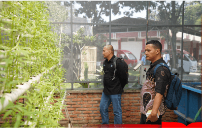 Sukseskan Menjadi Kampus Berkelanjutan Universitas Bangka Belitung Kunjungi Telkom University 