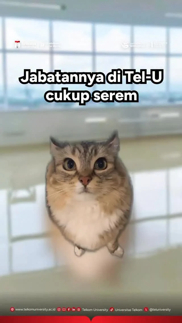 HEI TelUtizen!!
Siapa nih yang udah kangen dengan kucing kucing lucu yang ada di Tel-U. Semoga liburannya penuh dengan kebahagiaan dan kesehatan yaa TelUtizen

#TelkomUniverstiy #KampusSwastaTerbaik #ContributetoTheWorld #KampusBerdampak